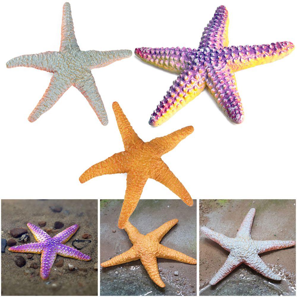 UPSTOP Mô Hình Sao Biển Đồ Chơi Giáo Dục Sớm Cho Bé