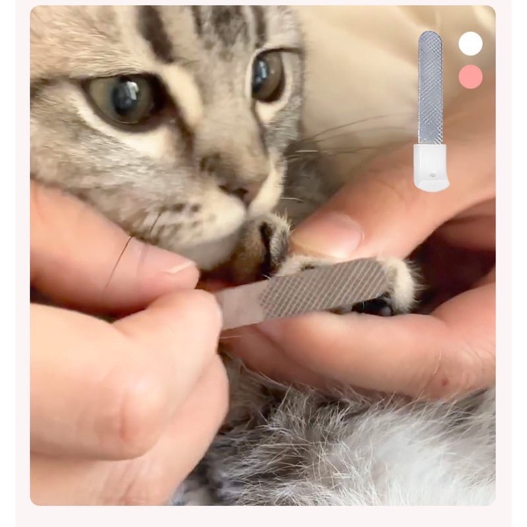 Kìm cắt móng chó mèo LEDY | Đèn chiếu tuỷ, cắt nhanh an toàn