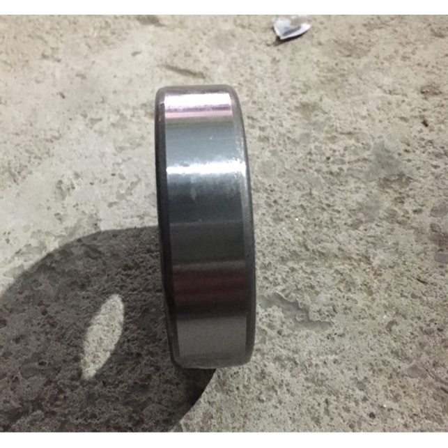 Bi 6307-2RS FBL