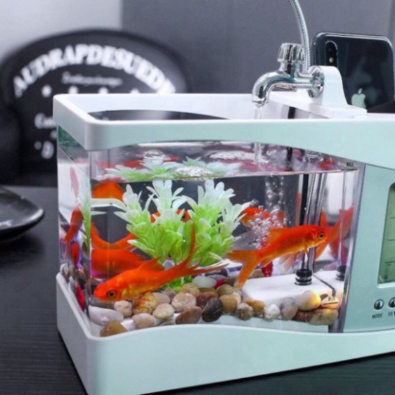 Bể Cá kiêm đồng hồ để bàn