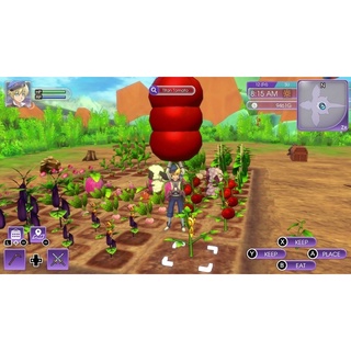 Băng game SWITCH: Rune Factory 5
