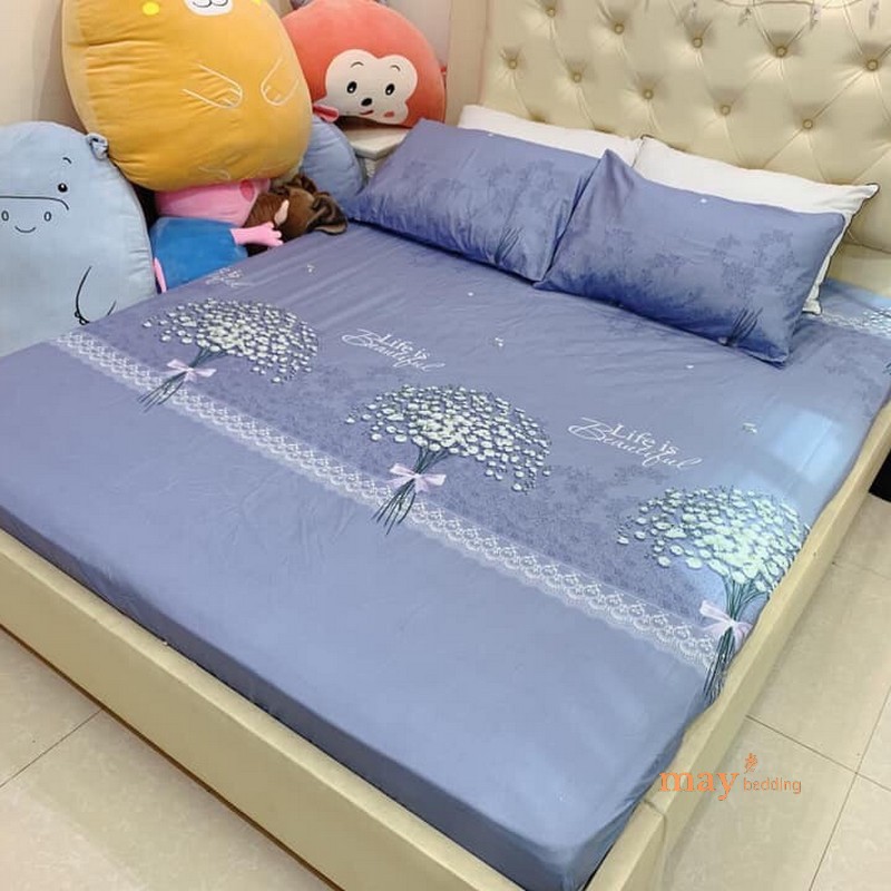 Ga trải giường m6 m8 2m poly cotton kèm vỏ gối