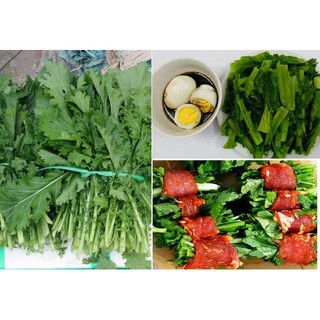 Hạt giống rau cải mèo (cải lá xẻ) 20gr
