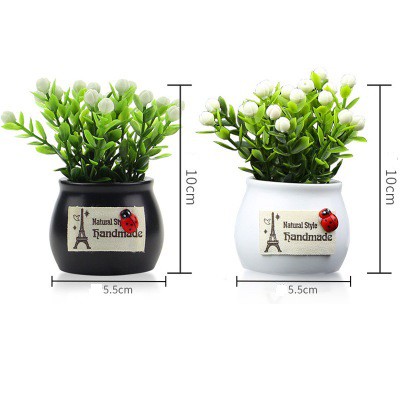 [RẺ VÔ ĐỊCH] CHẬU HOA TRANG TRÍ Ô TÔ, TRANG TRÍ BÀN LÀM VIỆC [BỀN - RẺ - ĐẸP] | BigBuy360 - bigbuy360.vn