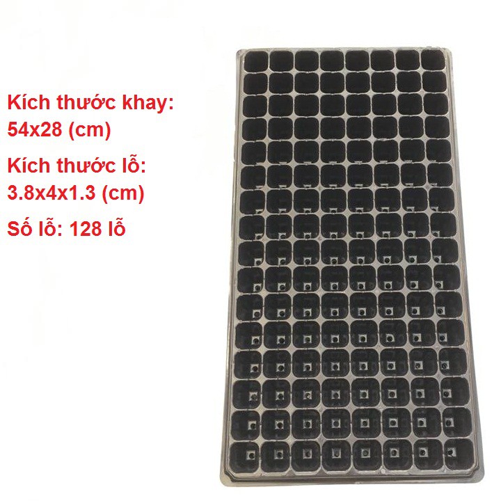 Combo 5 cái khay ươm hạt 128 lỗ, hàng loại 1 chất lượng cao