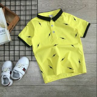 Combo 28 áo thun cổ trụ