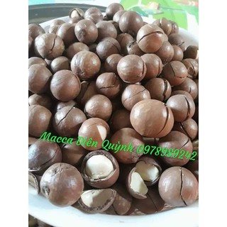 Hạt Macca sấy Lâm Đồng
