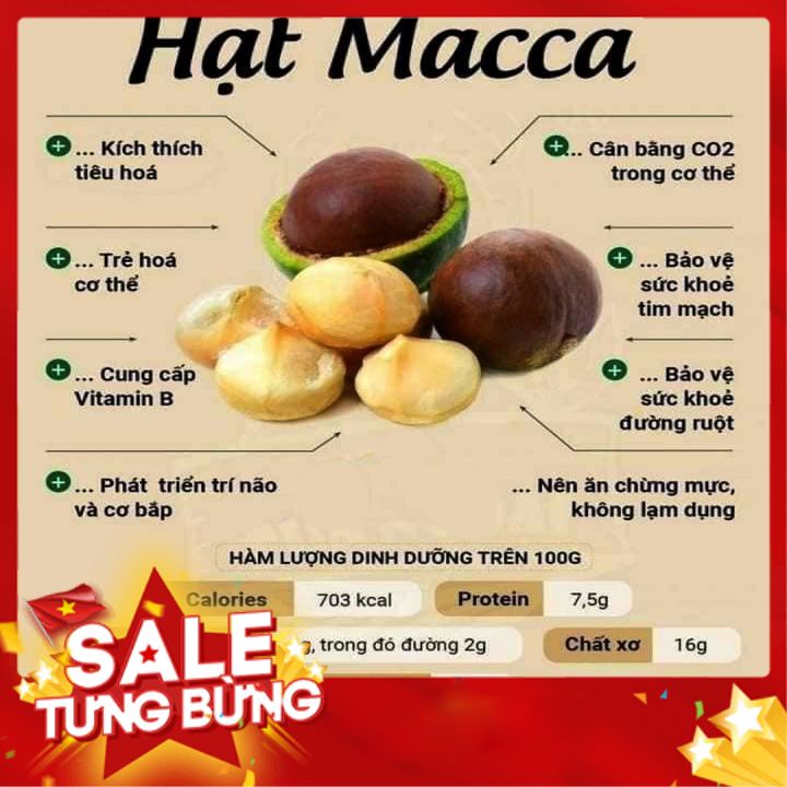 Quả macca sấy chín nứt vỏ  hộp 500gr, giá trị dinh dưỡng cực kỳ cao