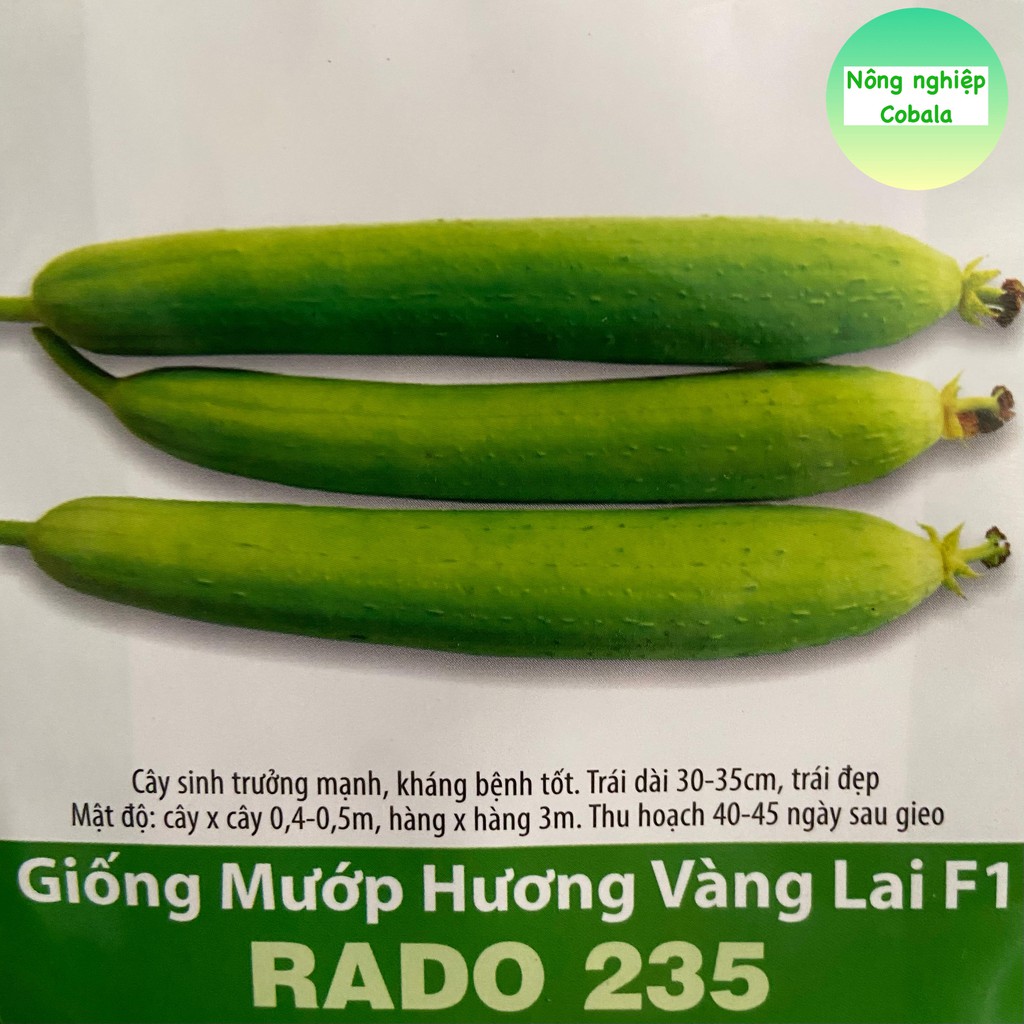 Hạt Giống Mướp Hương Vàng Lai F1 (RADO235) 1gr