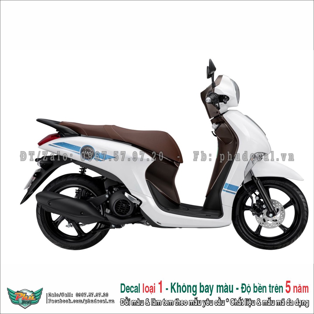 Tem rời janus trắng Cover (1)
