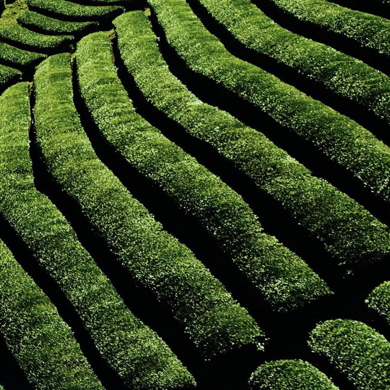 🔮  Dầu tẩy trang SHU UEMURA (XANH)- Anti/Oxi - 450ml/150ml  🔮 | BigBuy360 - bigbuy360.vn