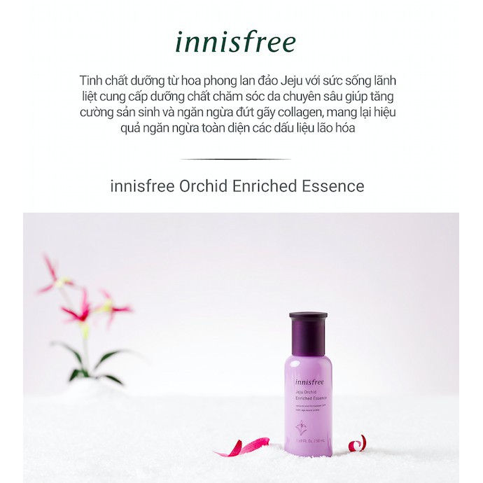 Tinh chất dưỡng ngăn ngừa lão hóa sớm từ hoa lan Innisfree Jeju Orchid Enriched Essence 50ml