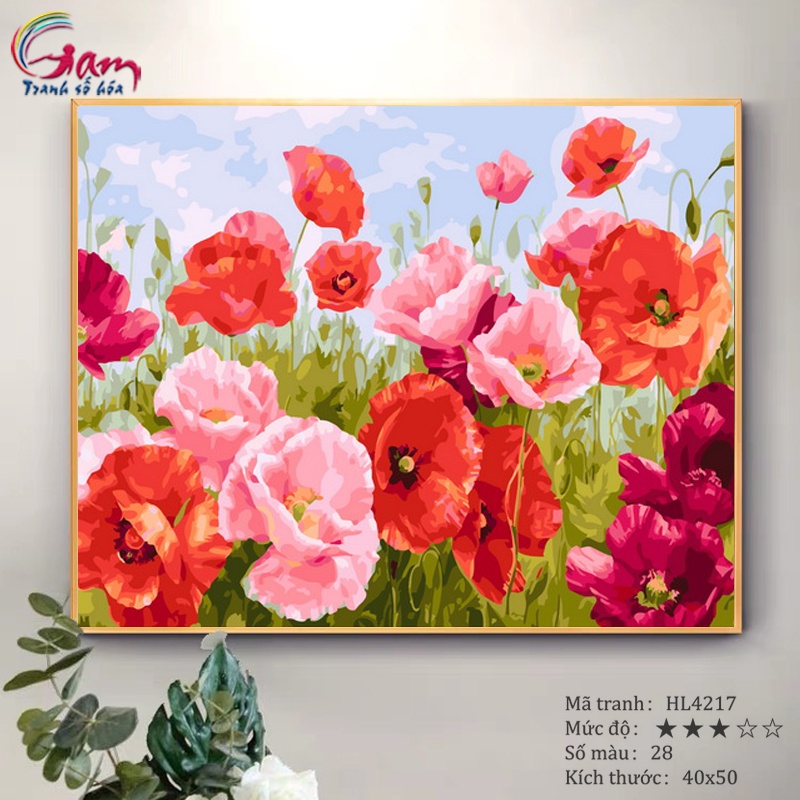 Tranh tô màu theo số Gam hoa anh túc có sẵn đã căng khung 40x50cm HL4217