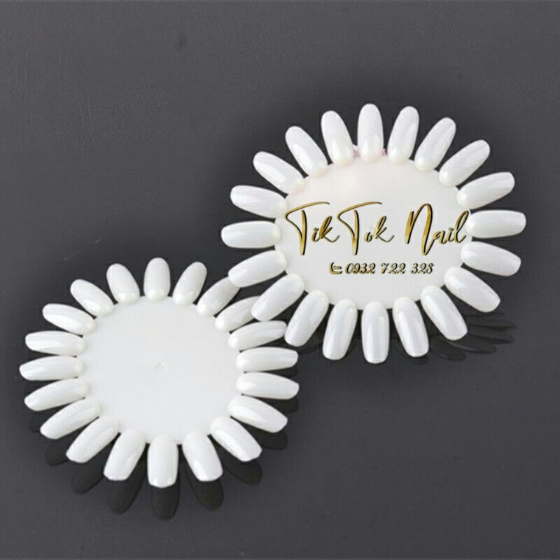 móng vỉ làm bảng màu 10 vỉ