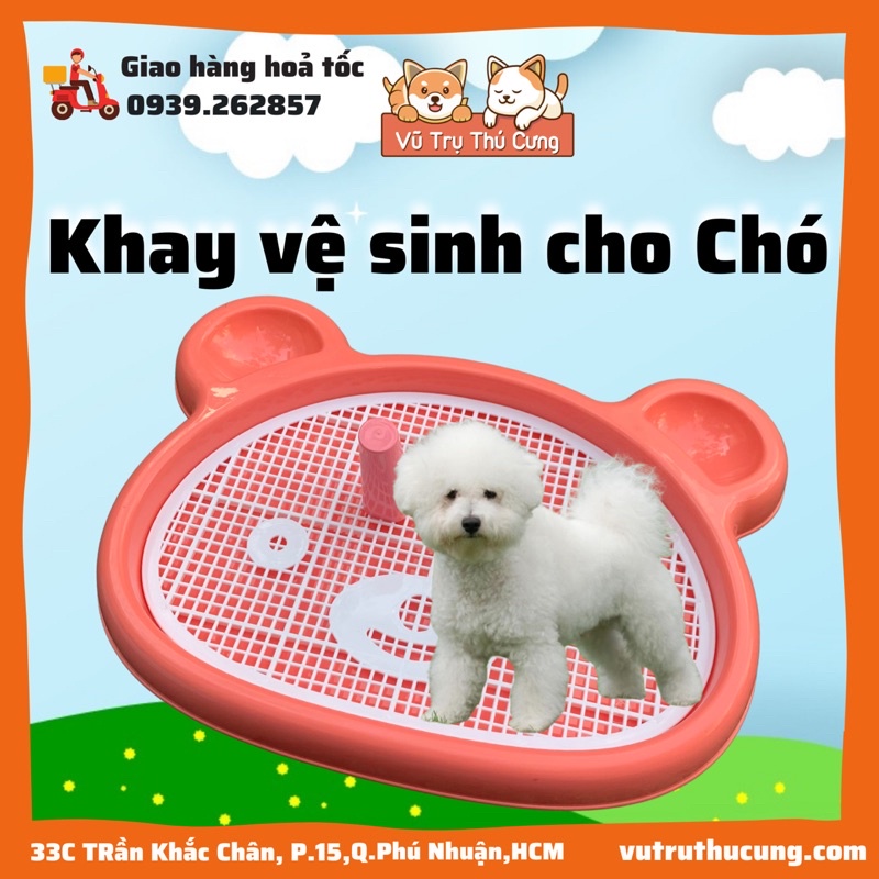 Khay vệ sinh cho Chó size lớn, hình mặt gấu - 47x63x5.5cm, Khay vệ sinh huấn luyện cho thú cưng