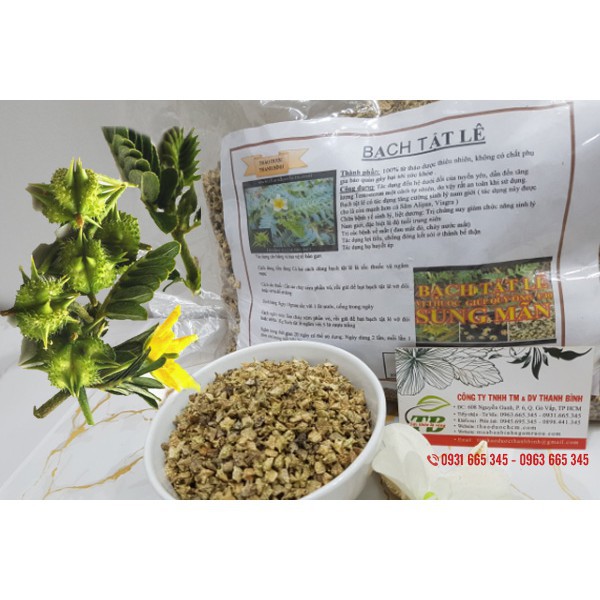 Bạch Tật Lê 500g - Cây Thuốc Nam Thanh Bình