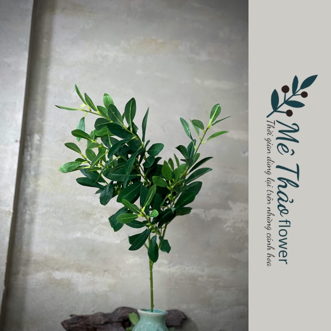 [Ảnh Shop Chụp] Cành Ô Liu Giả- Cành Olive Chất Liệu Lụa Cao Cấp Decor Nhà Cửa, Trang Trí Studio Mê Thảo Flower