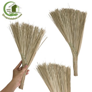 Chổi rễ mini - chổi chà - chổi xương - chổi dừa quét sân mini dài 48cm