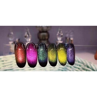 Set sơn mắt mèo 9D