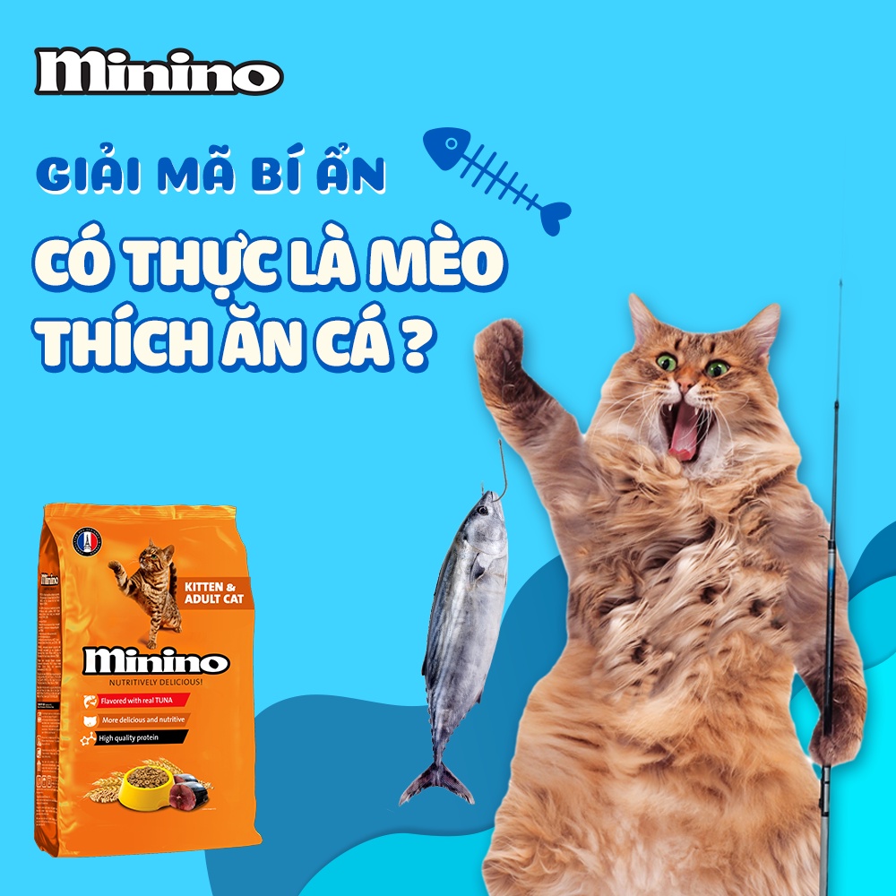 Hạt Minino 480gr cho mèo mọi giai đoạn tuổi Minino Kitten &amp; Adult 480gr