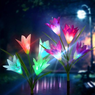 Hoa Năng Lượng Mặt Trời