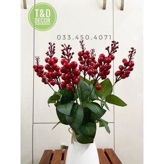 Cụm sơ ri nhiều quả+ Lọ thắt nút