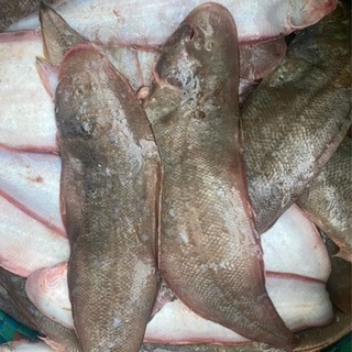 CÁ LƯỠI TRÂU 1 NẮNG(500gr)