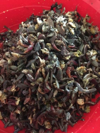 Ba Khía Trộn