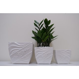 Chậu trồng cây vuông kiểu bông mai (11x7.8xH10.3cm) - Hàng VNXK