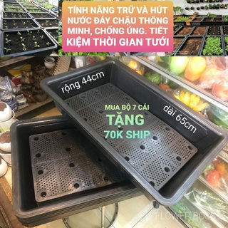 Chậu nhựa trồng rau tự dưỡng thông minh TO, DÀY, DẺO, CHỊU NHIỆT, khay mầm lớn trồng rau, size 65x44x18 cm