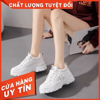 Giày thể thao sneaker nữ giá rẻ cổ thấp độn đế 5cm ,giày nữ màu trắng giúp tăng chiều cao hiệu quả - Hàng nhập khẩu