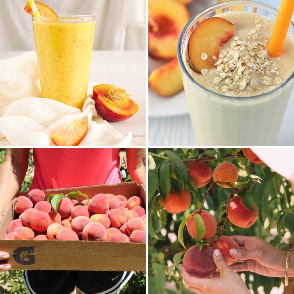 Smoothie Đào Peach làm trà trái cây, đá xay, soda thay thế Sinh tố Syrup Siro Puree - JUPITER