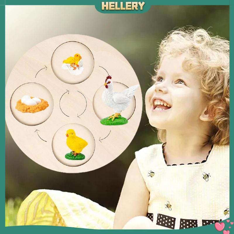 Bảng Mạch Tăng Trưởng Chu Kỳ Montessori Sớm Cho Bé [HelleryVN] #Educational Balo Đi Học Mẫu Giáo Dễ Thương Cho Bé
