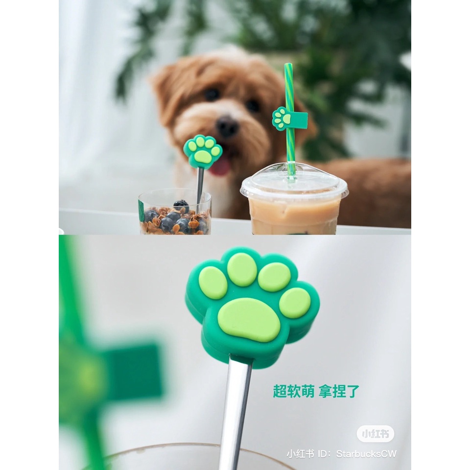 Set Ống Hút và Nĩa Starbucks chính hãng