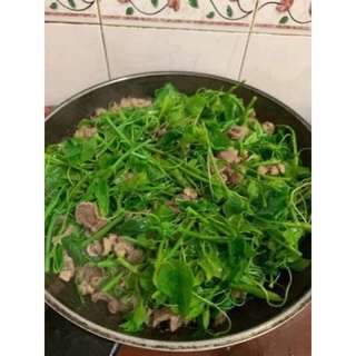 CÂY RAU BÒ KHAI ( cây dược liệu )
