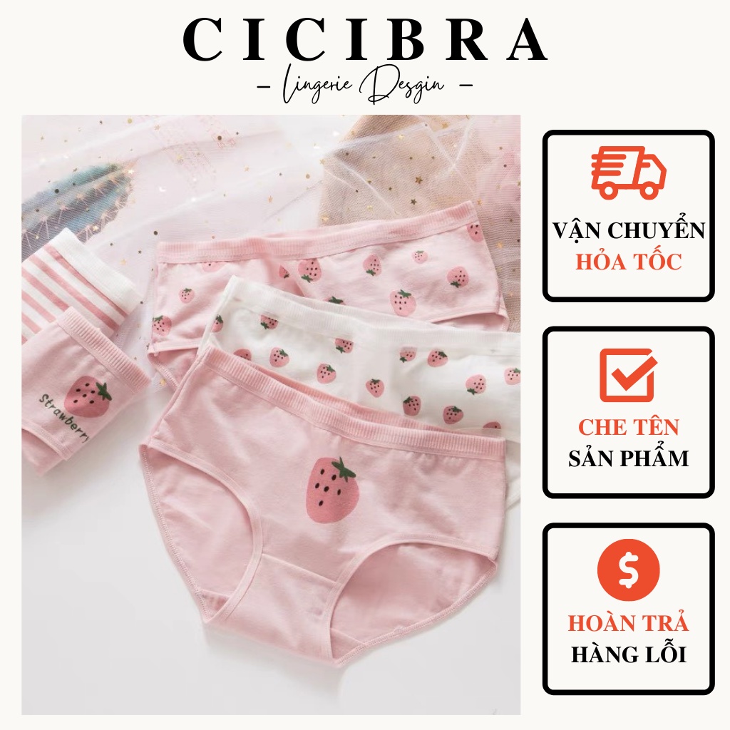 Set 4 Quần Lót Chất Cotton Mềm Dâu Tây Hồng Siêu Xinh Thoáng Mát, Co Giãn CiCi Bra - QL15