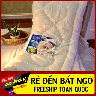 Ruột Chăn Bông Ép Hơi cao cấp SIÊU NHẸ LOẠI DÀY (MÙA ĐÔNG)