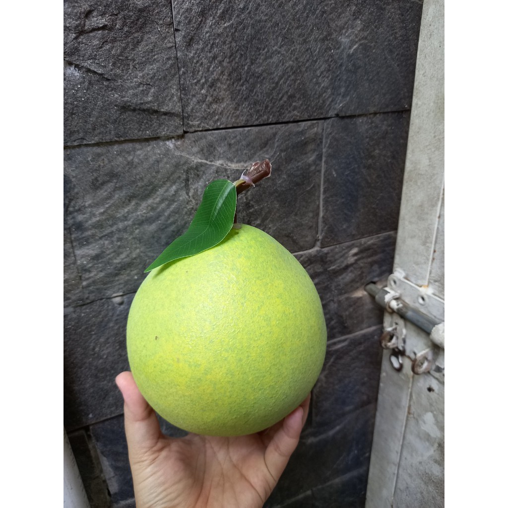 1 Quả bưởi giả giống như thật - trái cây giả - Hương Flower