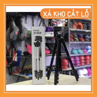 Gậy 3 chân Tripod 3120 mẫu mới 2020