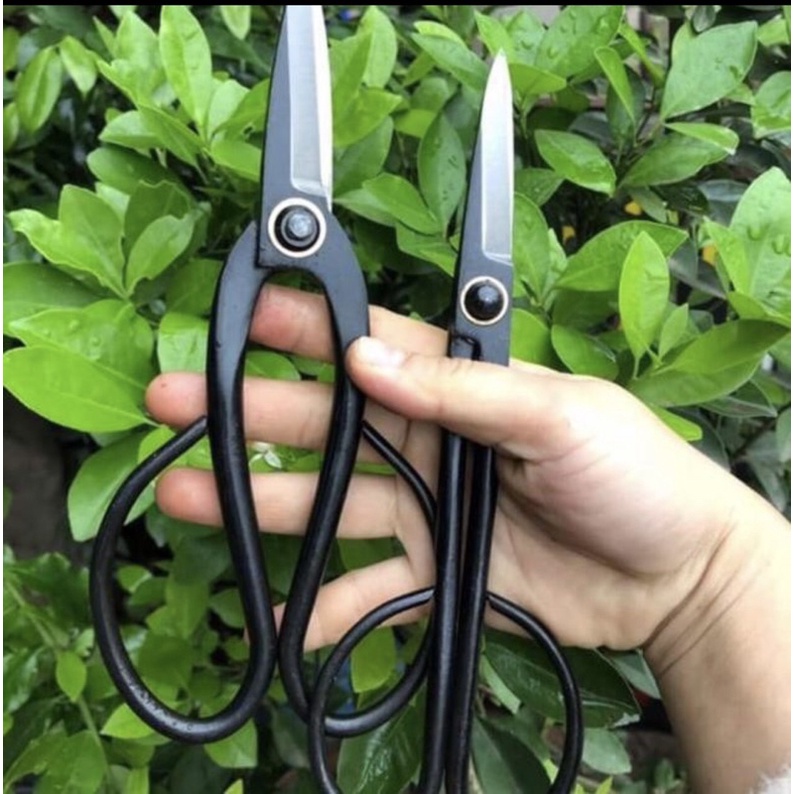 Kéo tỉa răm ,tỉa lá thép đúc nguyên khối chuyên dụng cho bonsai cây cảnh