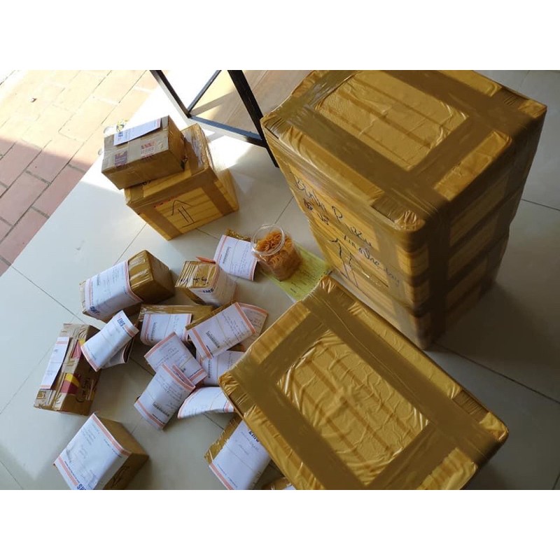 Sao biển đỏ phú quốc 20 nghìn 1 con | BigBuy360 - bigbuy360.vn