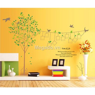 Decal khung ảnh A008