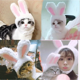 Mũ tai thỏ cho cho mèo
