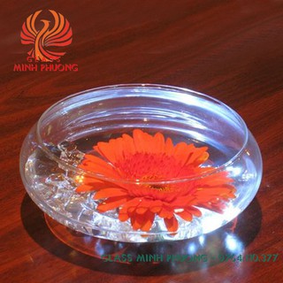 Hồ cá mini thủy tinh để bàn, chậu thủy tinh trồng cây thủy sinh mẫu BS02
