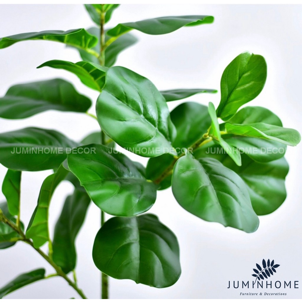 Cành bàng Singapore - Cây hoa giả Decor trang trí nhà cửa nội thất phòng khách, phòng ngủ