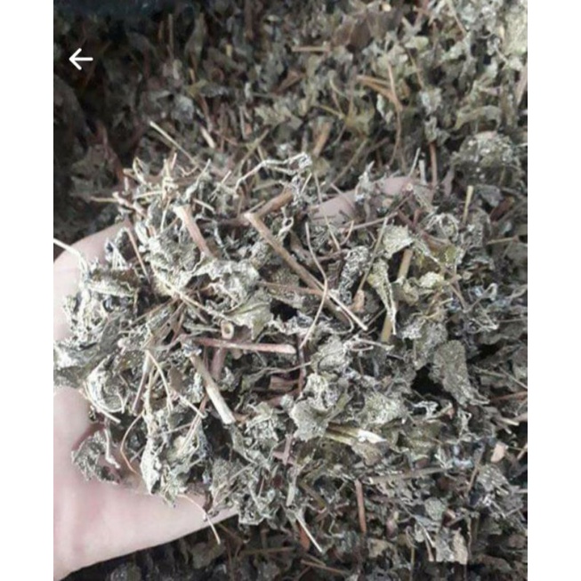 Chè dây sa pa 1kg_trà tuyết khô thơm sạch