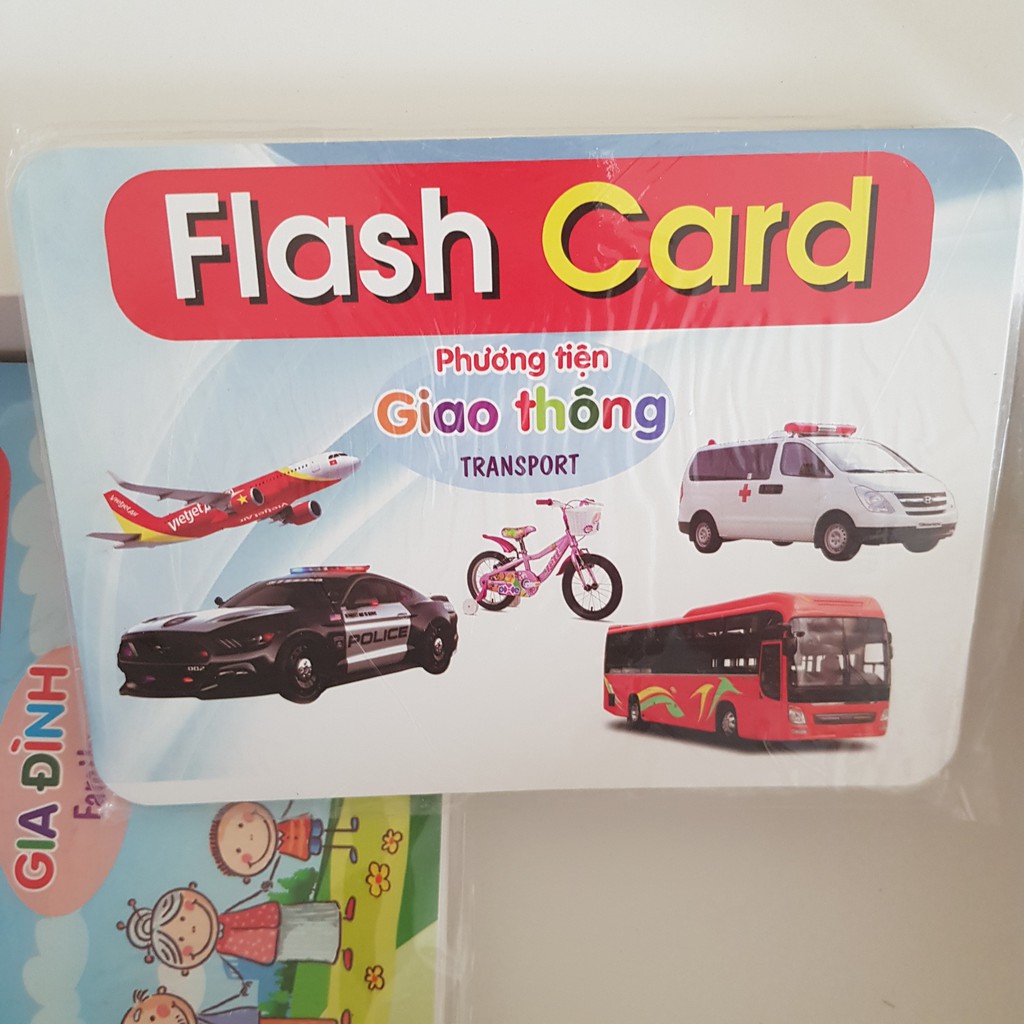 Thẻ học thông minh 19 chủ đề TGXQ mẫu mới nhất 290 thẻ KT 12x16cm