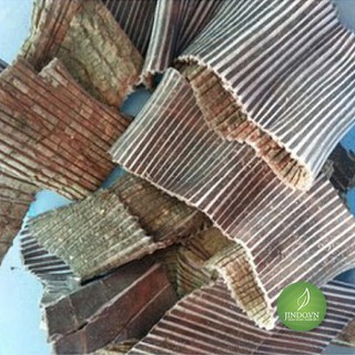 1KG Đỗ trọng - Thảo dược cho sức khỏe sinh sản và sức khỏe toàn diện JD245 dotrong