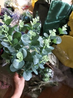 Cụm lá táo to