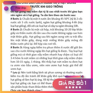 Hạt giống Cà xanh mỡ (0.5g)